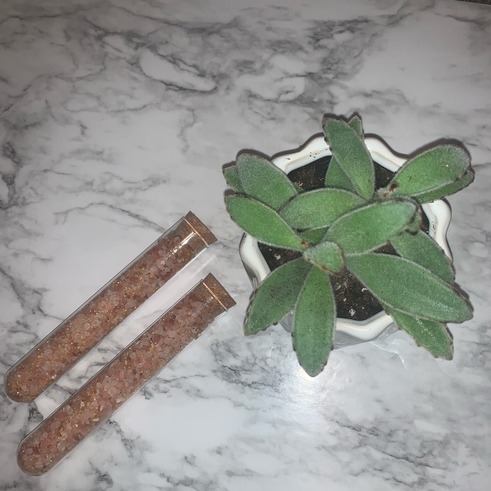 Pink Jasmine Bath Salt Vial